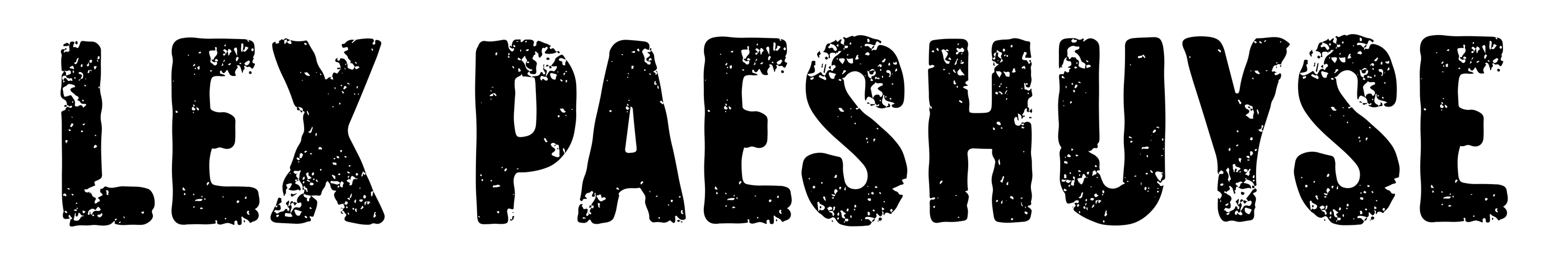 Lex Paeshuyse Darts