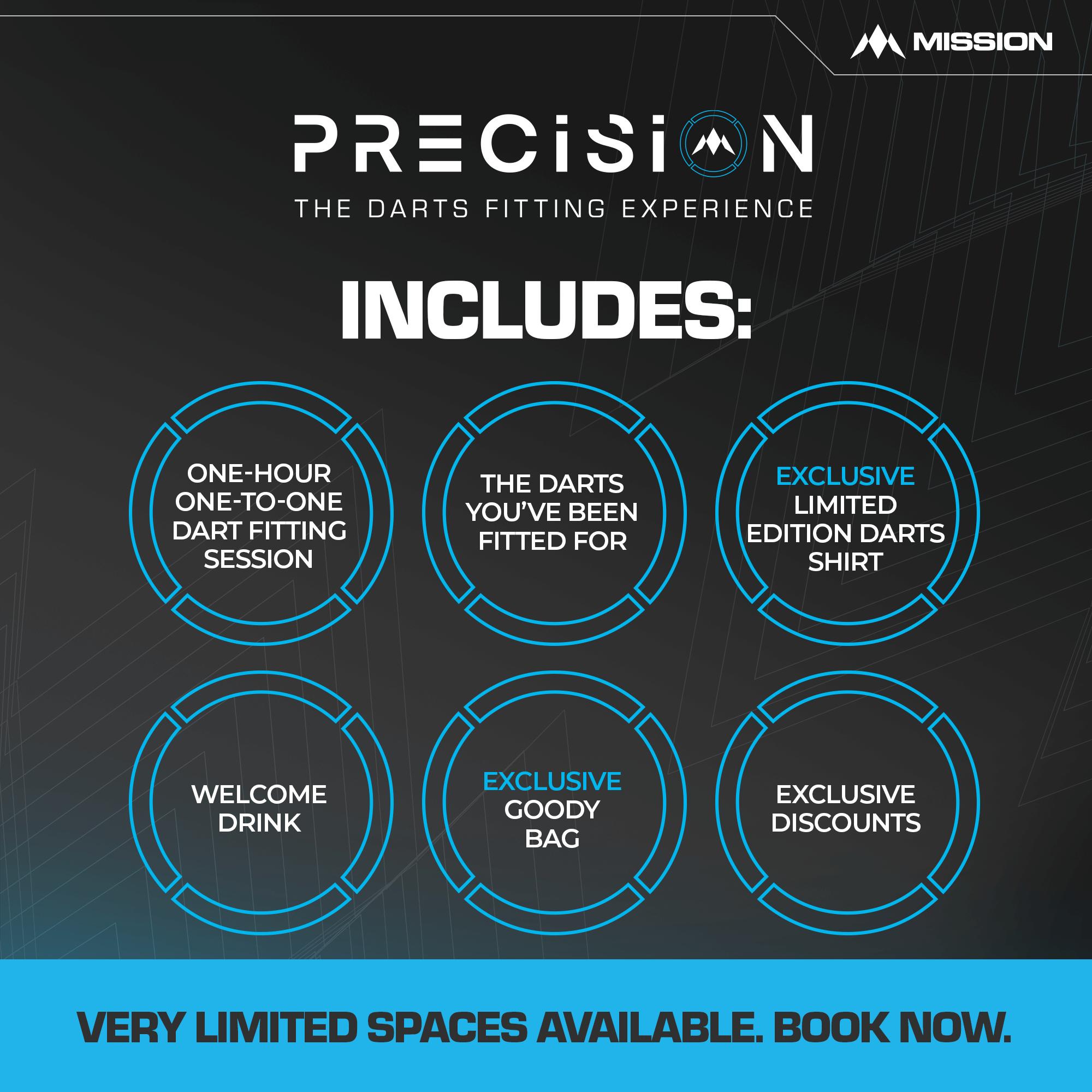 Precision - The Darts Fitting Experience